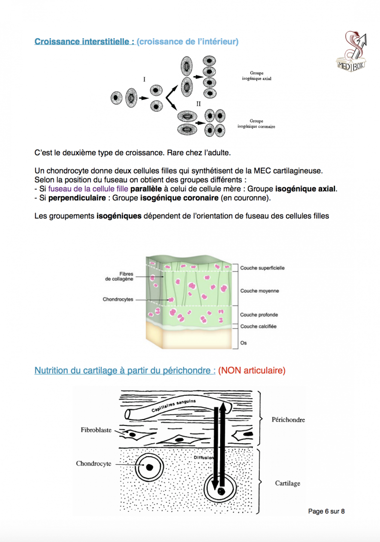Exemple de cours 2
