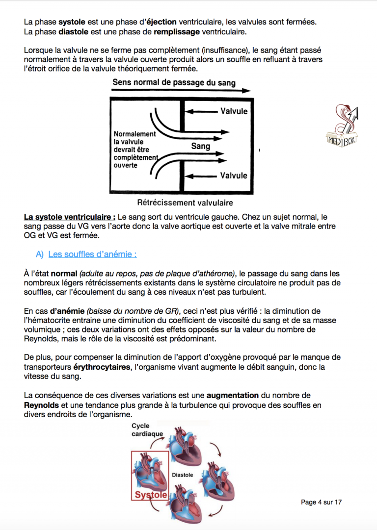 Exemple de cours 4