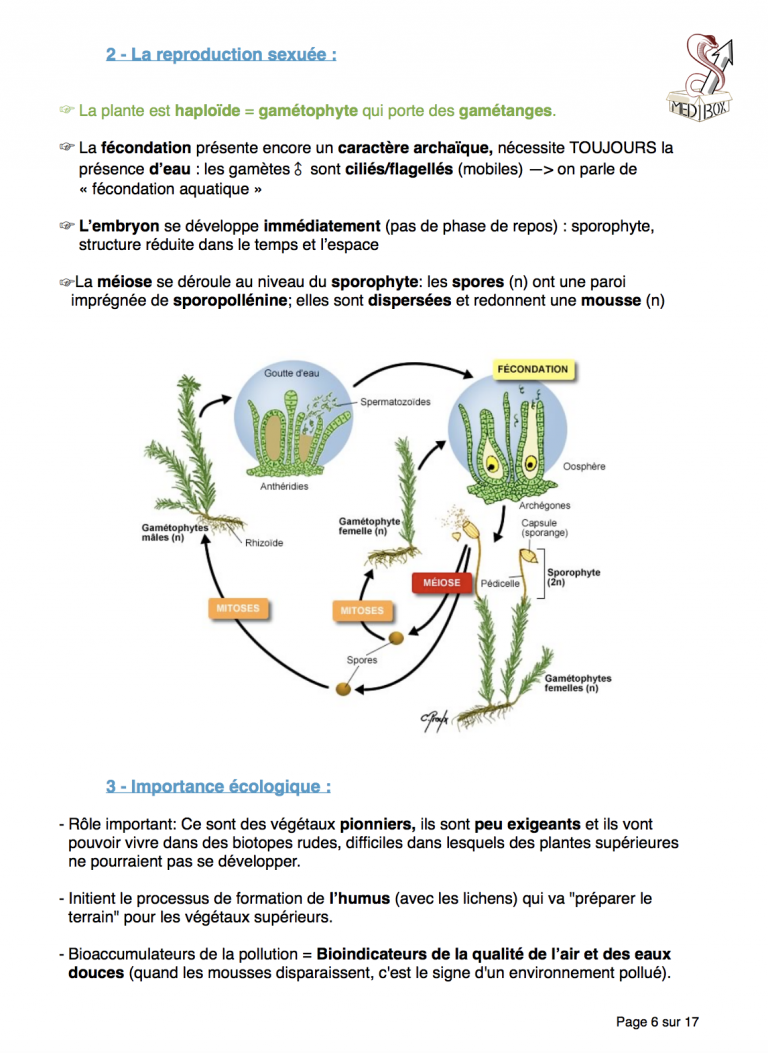 Exemple de cours 1